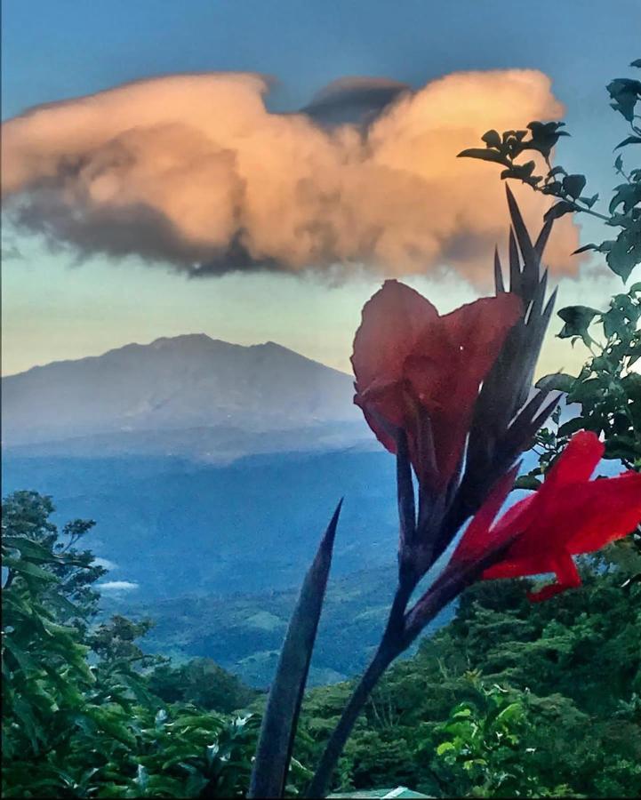 Valle Hornito El Refugio La Brisa Del Diablo Bed & Breakfast エクステリア 写真