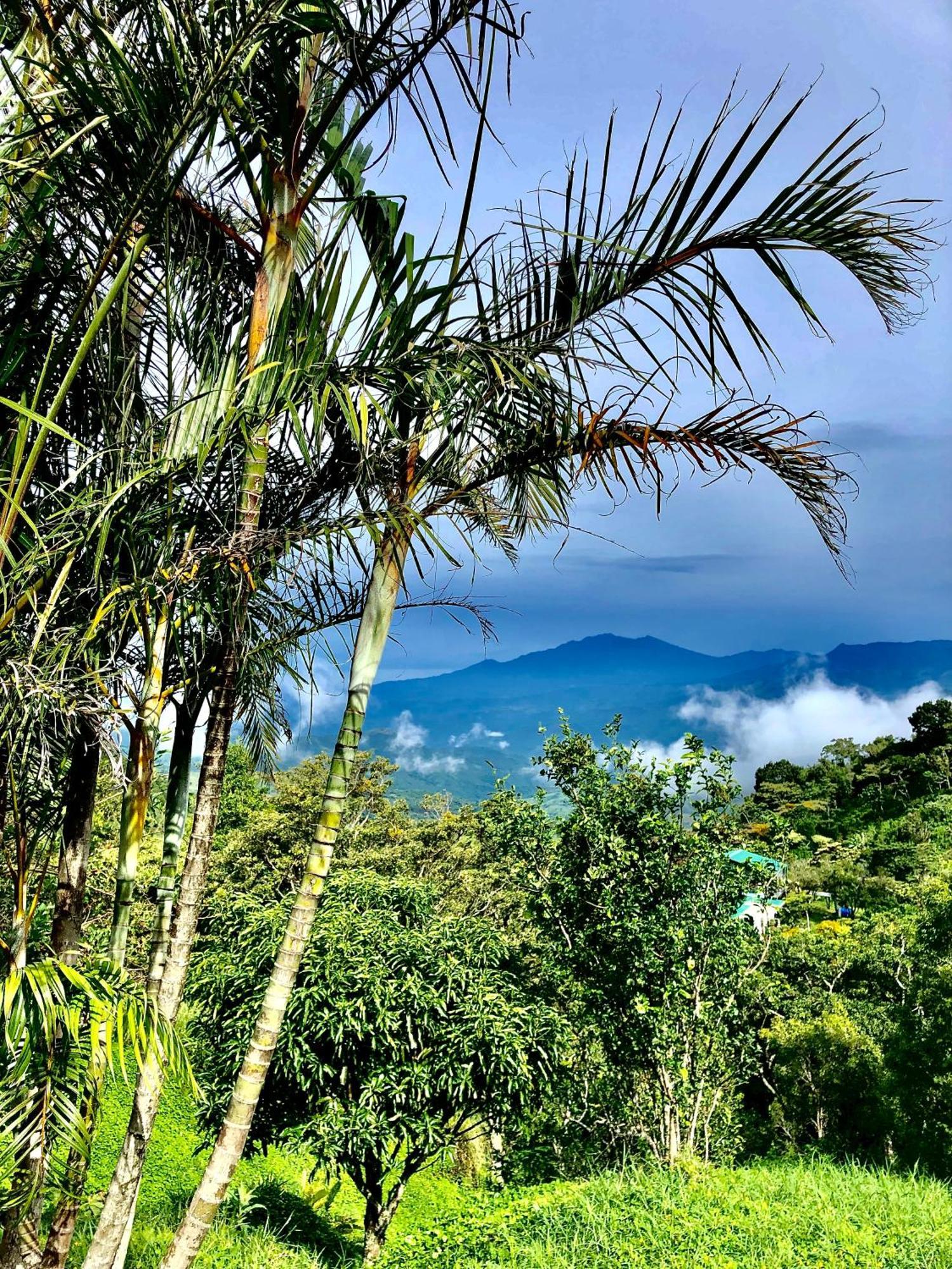 Valle Hornito El Refugio La Brisa Del Diablo Bed & Breakfast エクステリア 写真